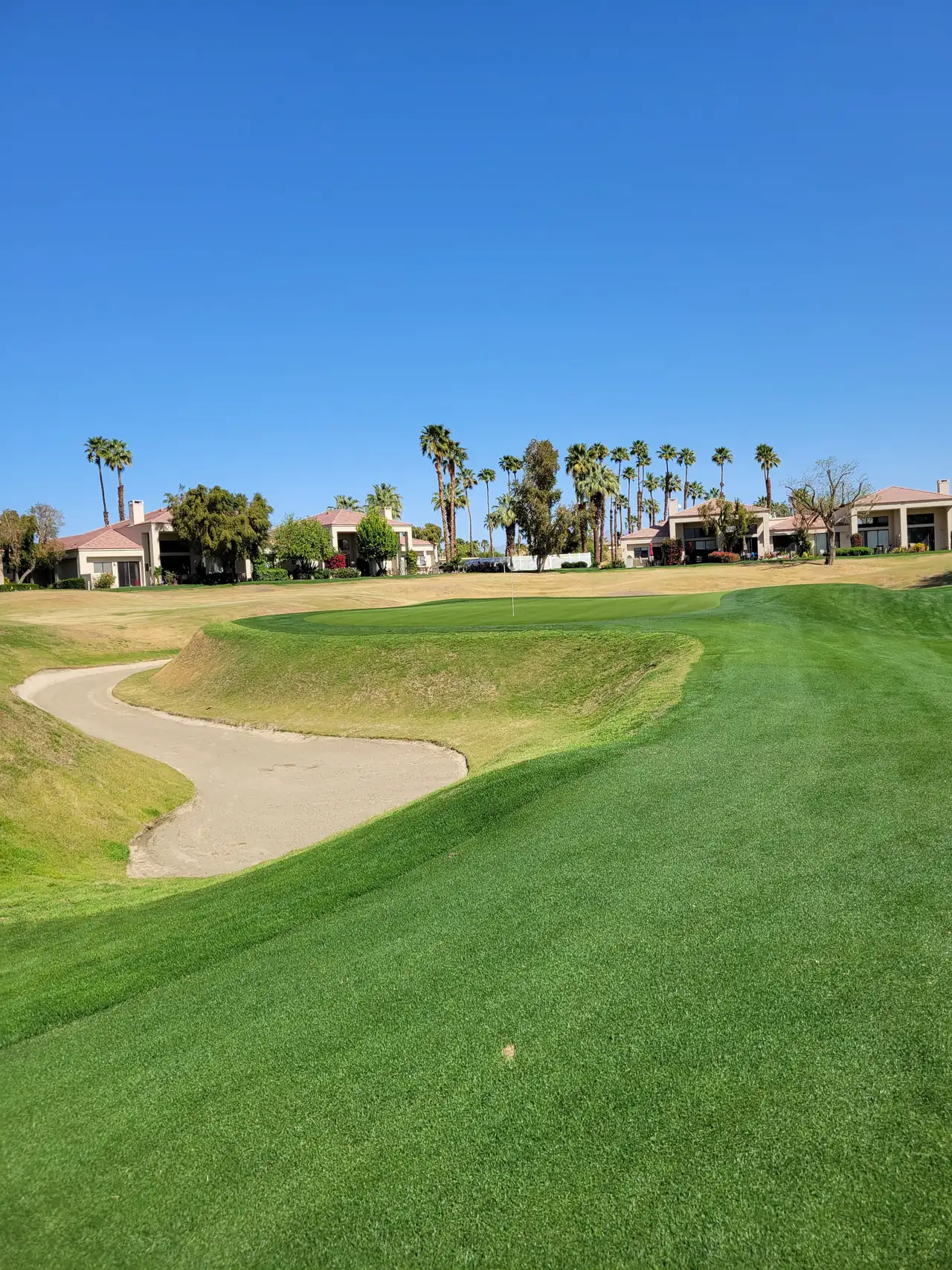 Fairway bunker and palm trees on the PGA West Stadium Course