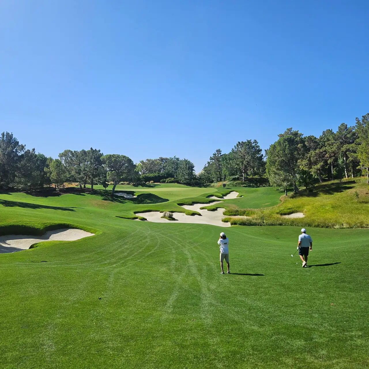 Pine-lined fairway and bunkers at Shadow Creek